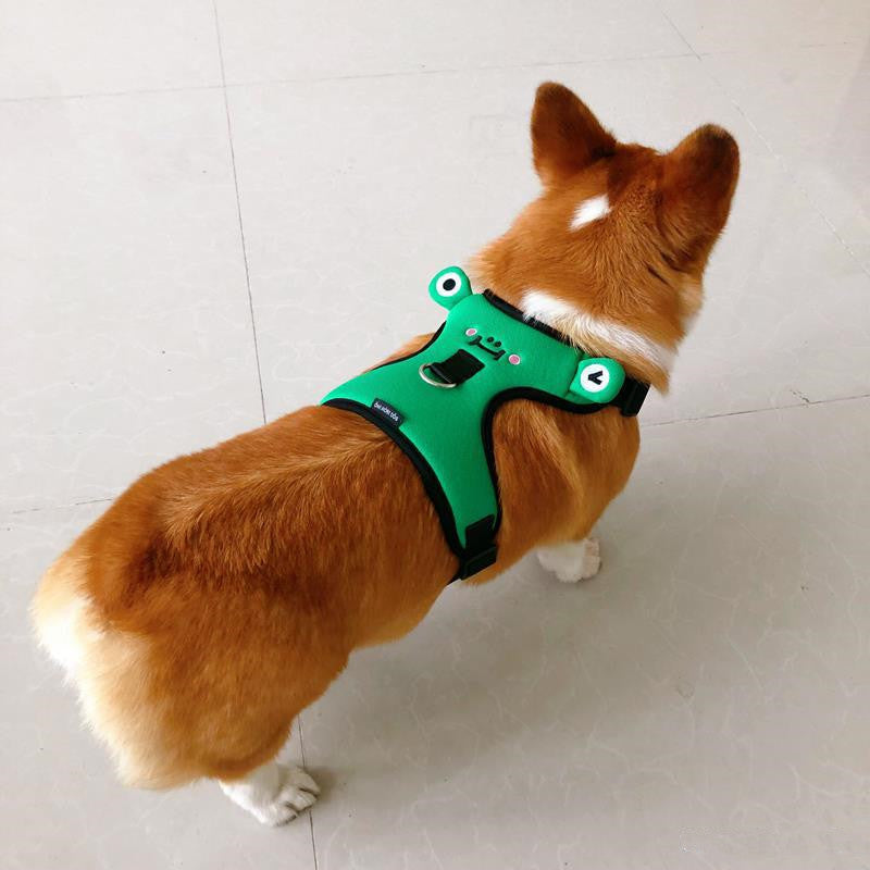 Dog's chest and back with traction rope