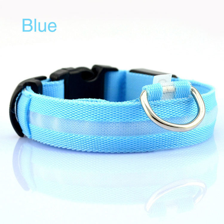 Dog LED Safety Collar