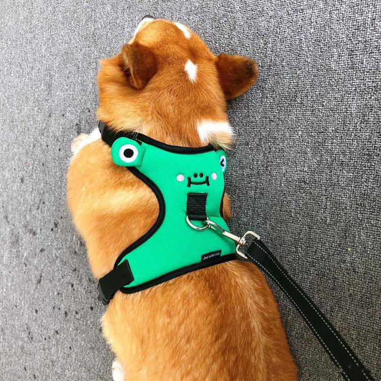 Dog's chest and back with traction rope