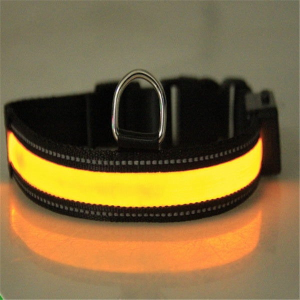 Fluorescent Dog Safety Collar