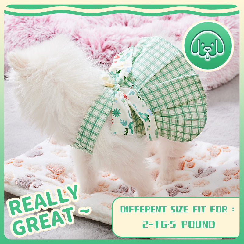 Summer Small Dog Clothes Pet Harness With Leash