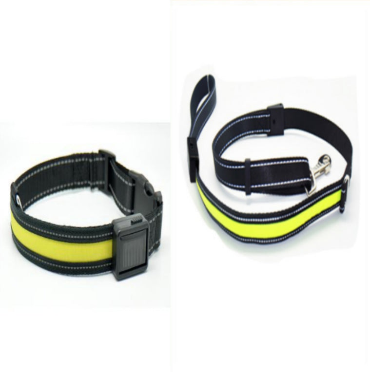 Fluorescent Dog Safety Collar