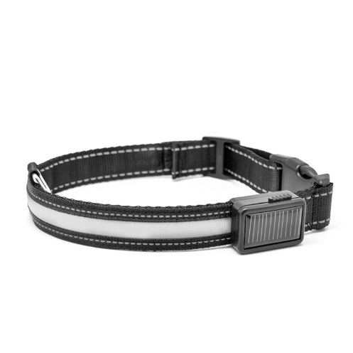 Fluorescent Safety Collar