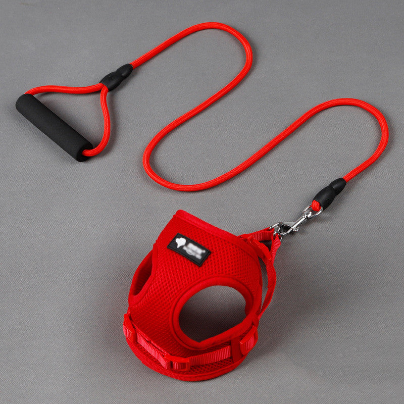 Harness & Leash Set