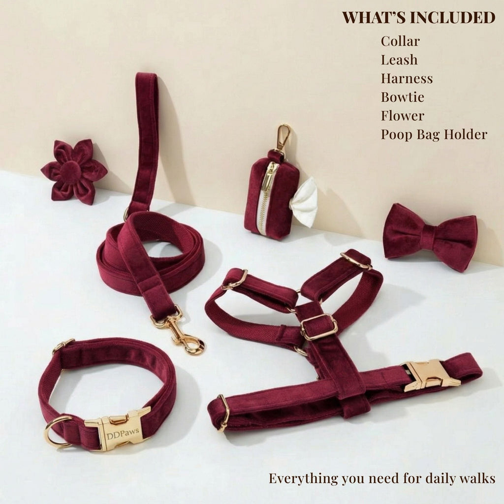 Red Wine Velvet Harness Set