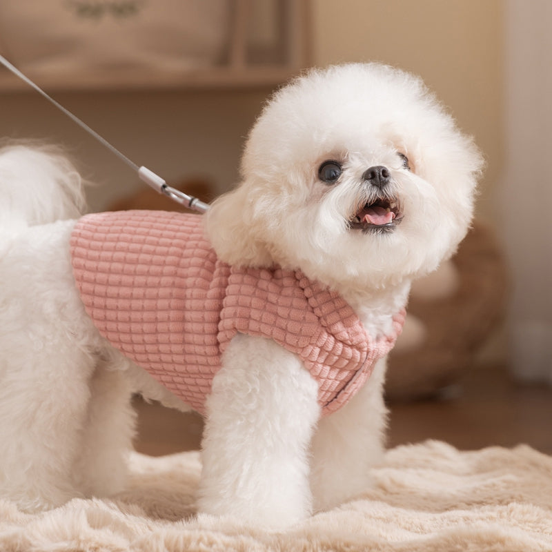 Thick And Warm  Clothes For Autumn And Winter