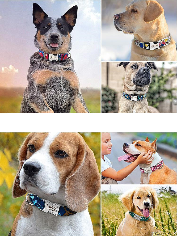 Pet Collar with Lettering