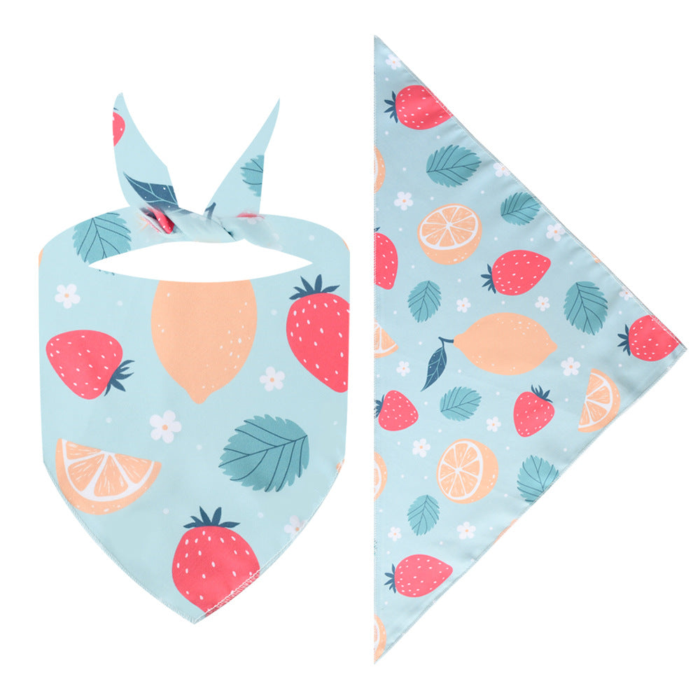 Colorful Bandanas