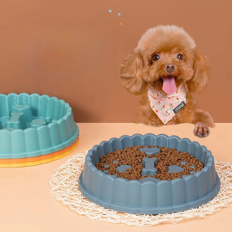 Dog Anti Choking Feeding Bowl