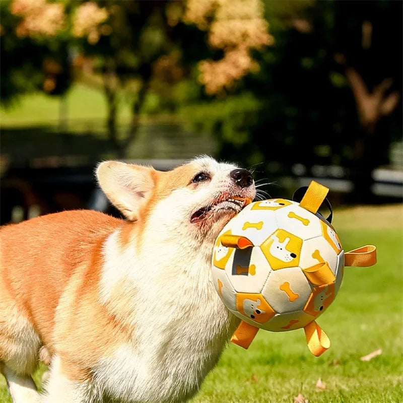 Interactive Football Toy