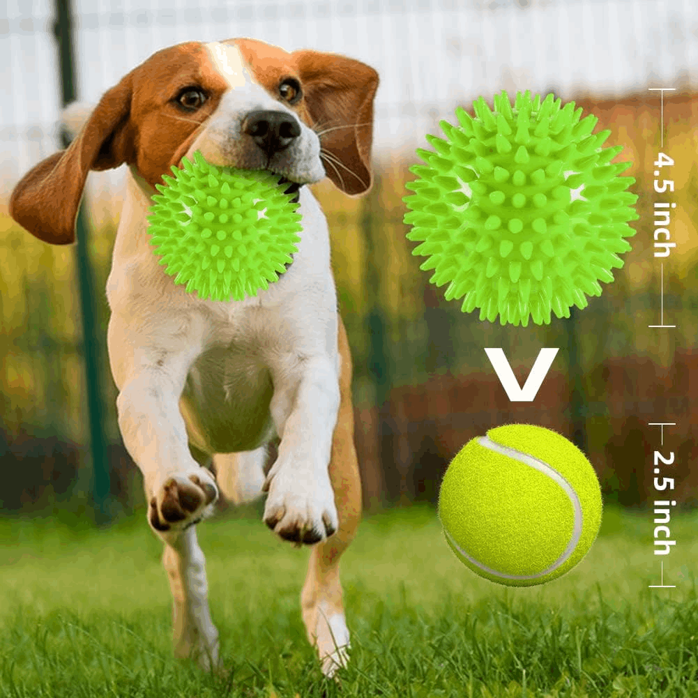 2.5” Squeaky Interactive Dog Balls for Puppy Teething