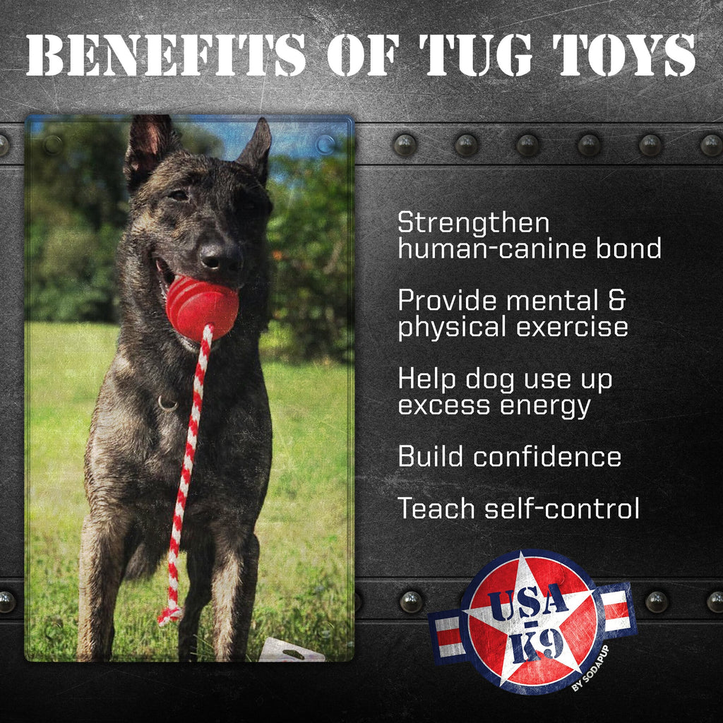 USA-K9 Stars and Stripes Rubber Dog Toy