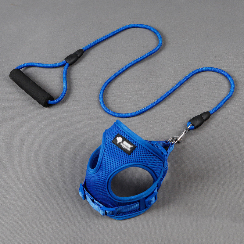 Harness & Leash Set