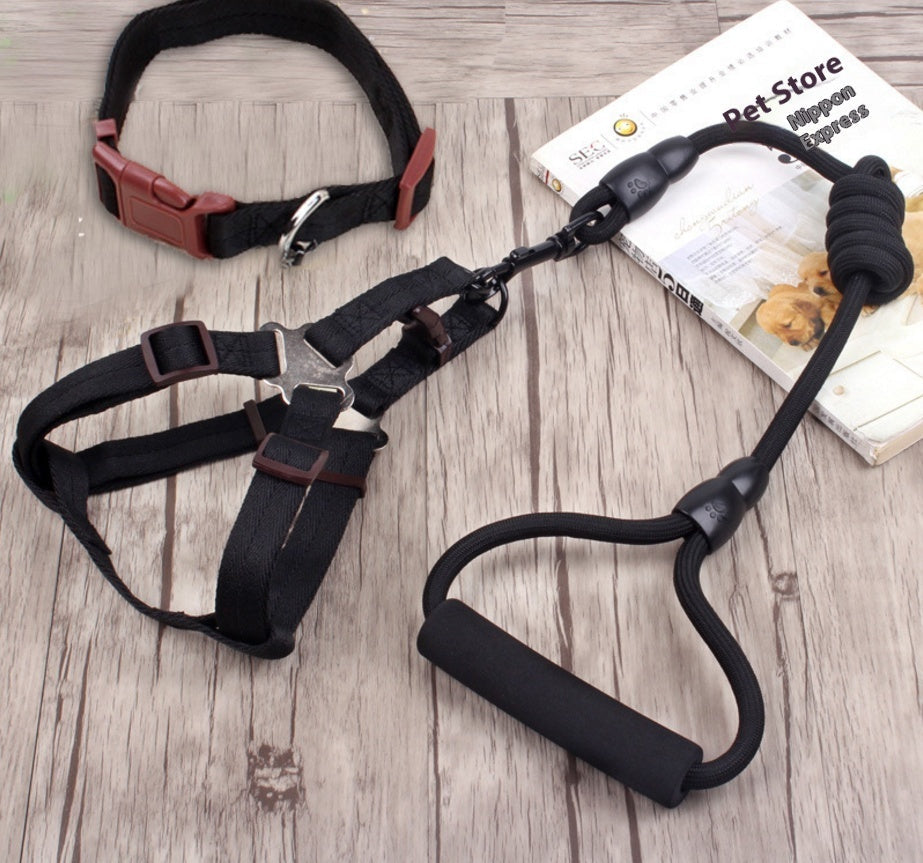 Dog Collar & Harness Rope