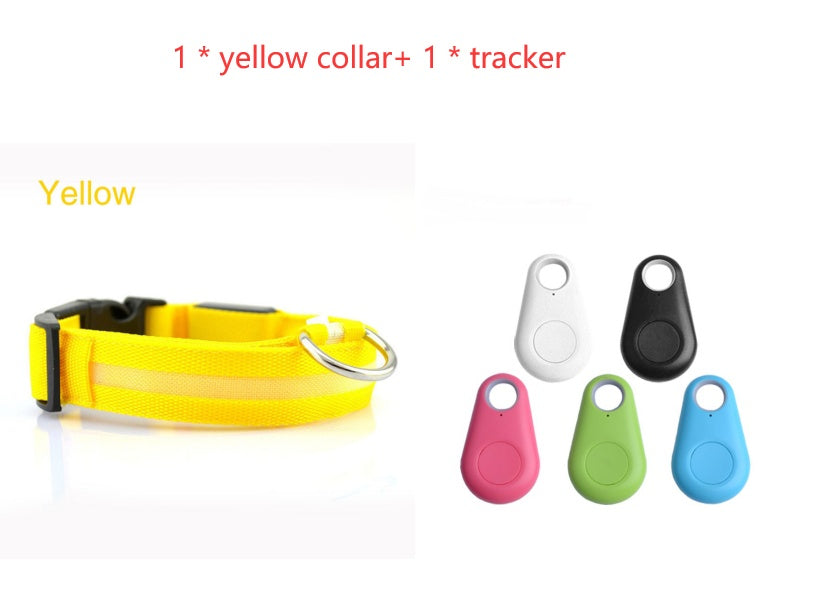 Dog LED Safety Collar