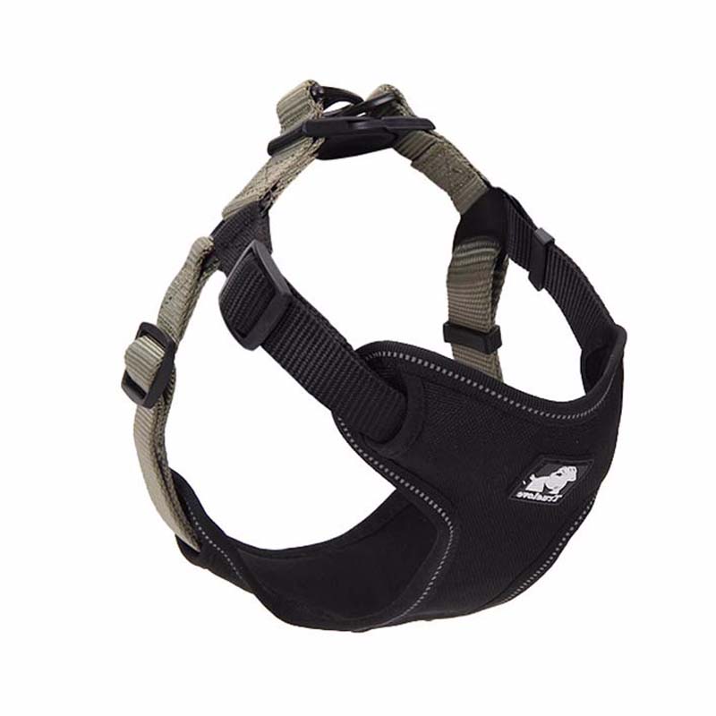 Dog Harness