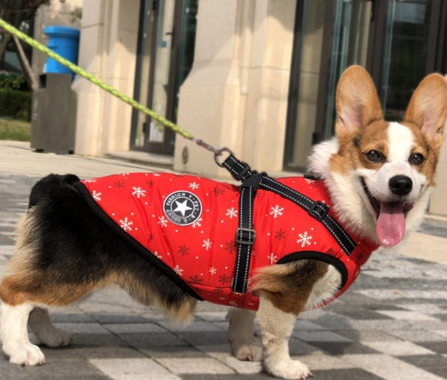 Winter Warm Dog Hooded Coat