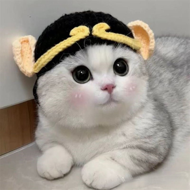 Pet Hat Cute 3D Knitted Wool Bonnet