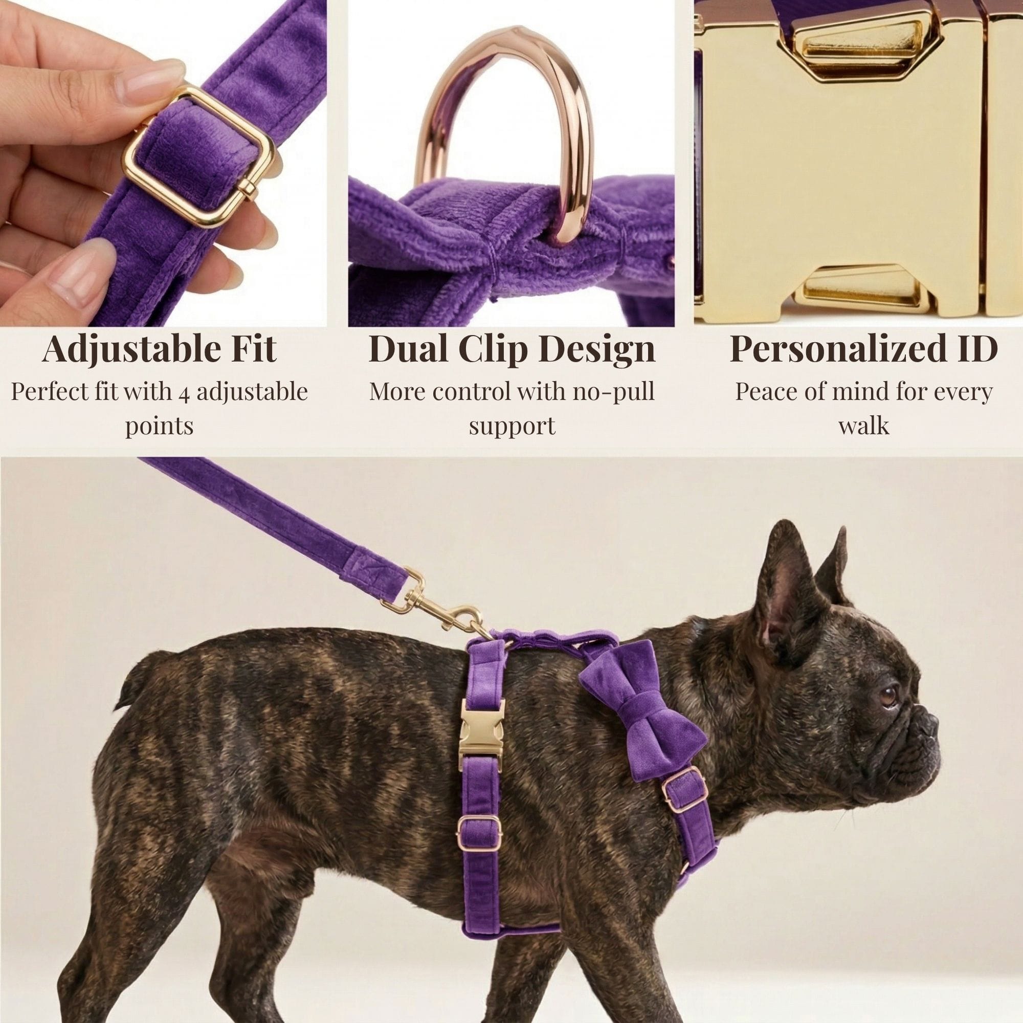 Velvet Purple Harness Set