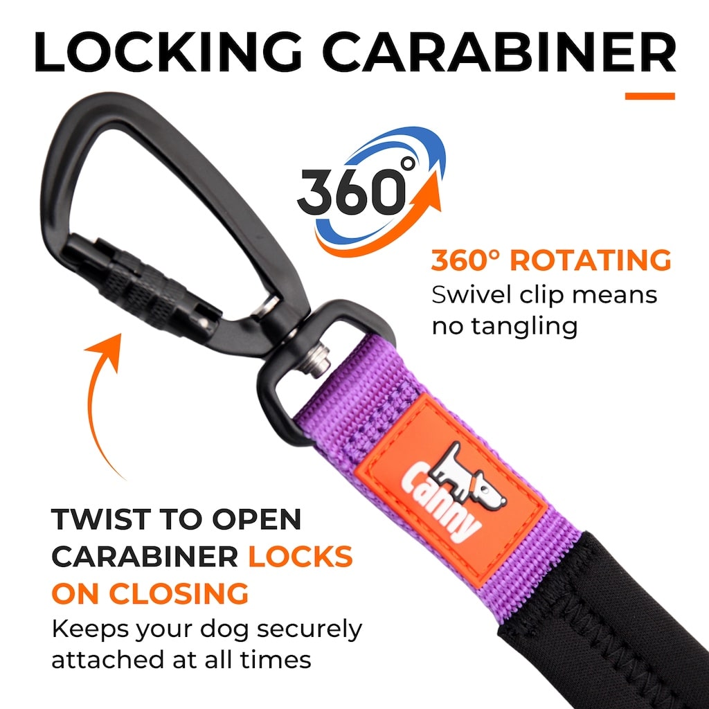 Canny Leash