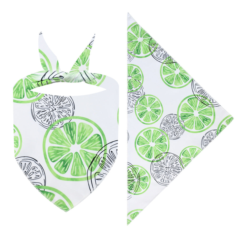 Colorful Bandanas