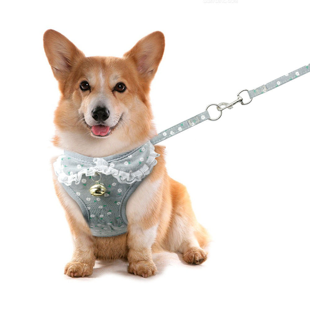 Chest harness pink bell  leash small dog dog harness