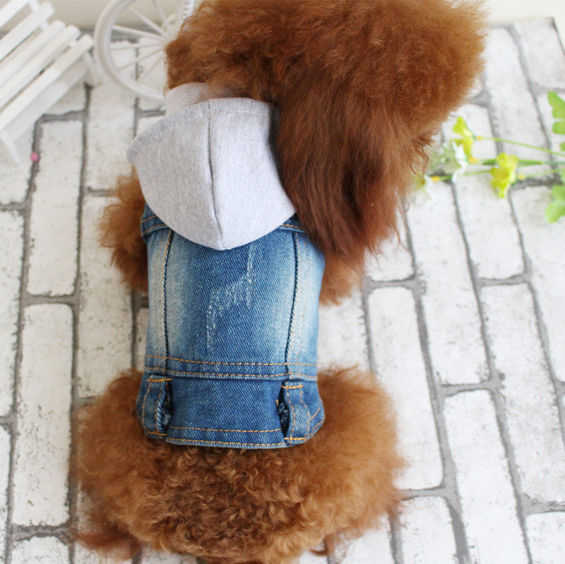 Designer Dog Clothes Small Dog Denim Jacket