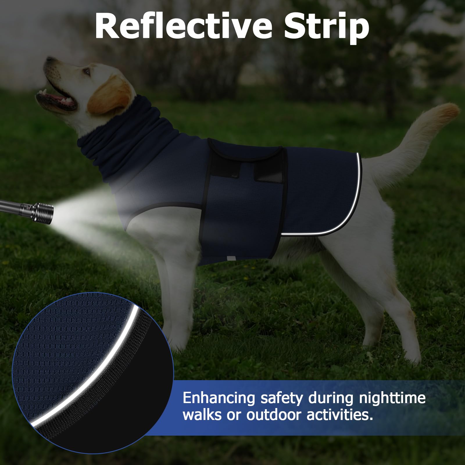 2-in-1 Dog Anxiety Vest With Hood