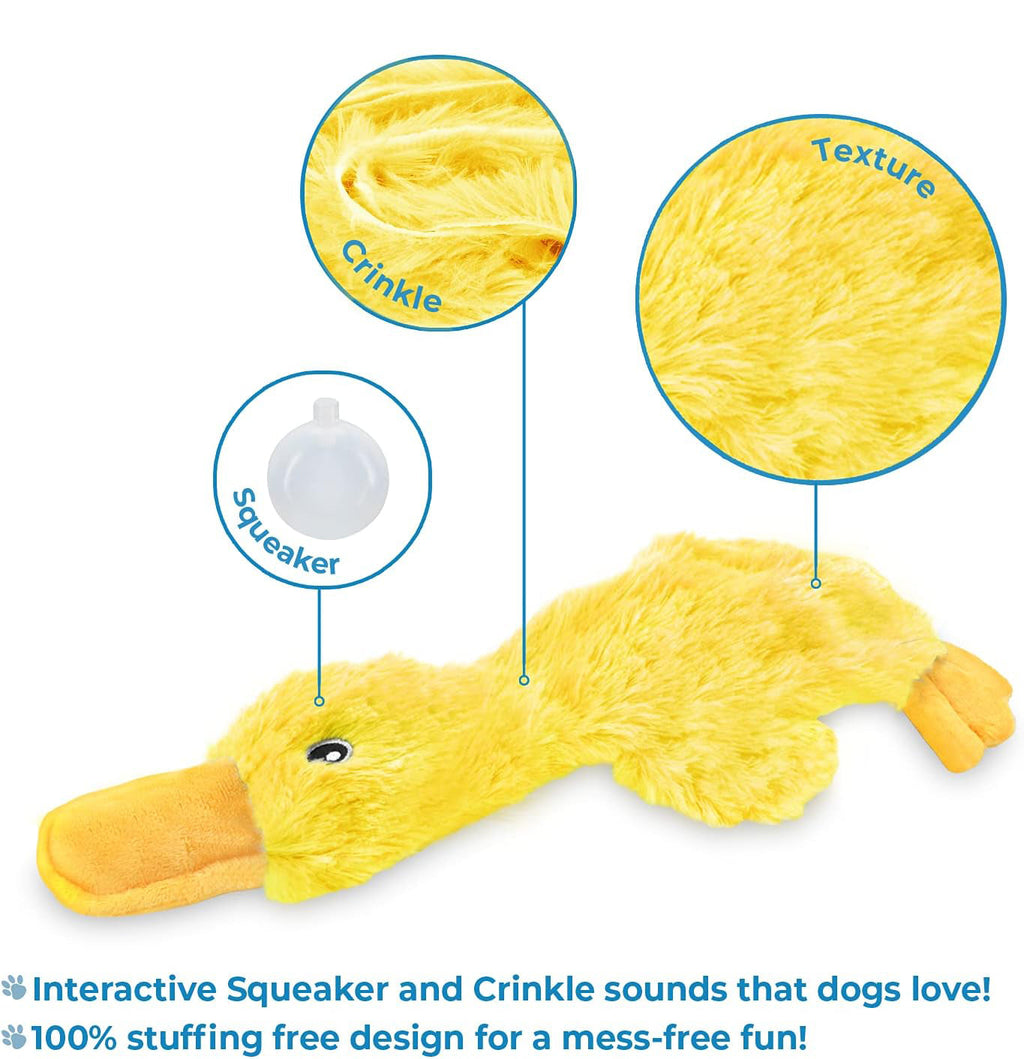 Best Pet Dog Toys For Small Medium And Large Breeds