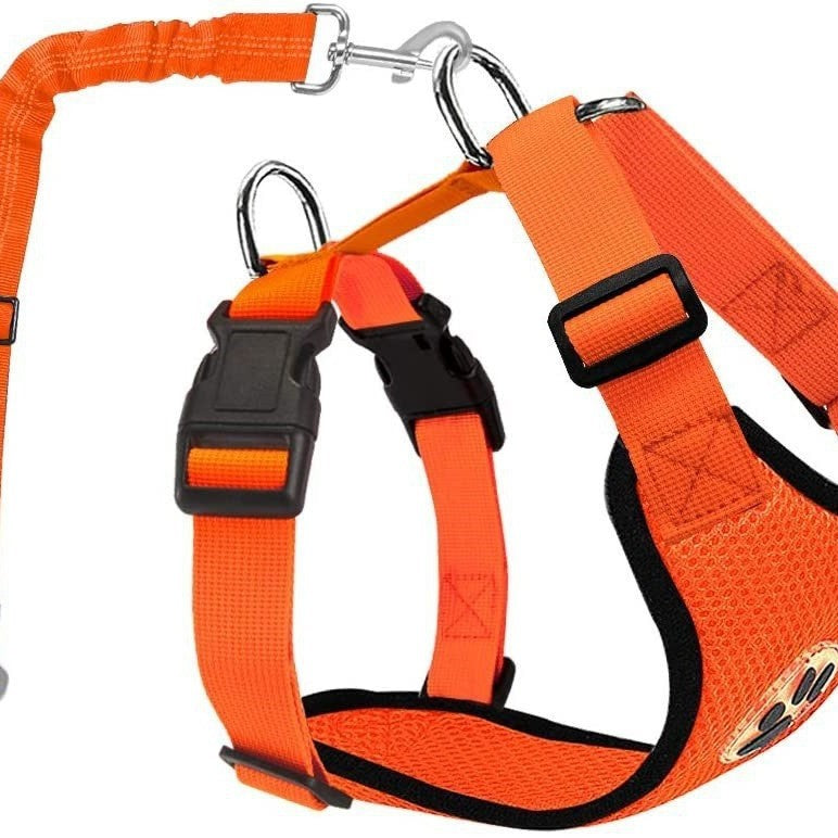 Amazon's Best-Selling Dog Leash