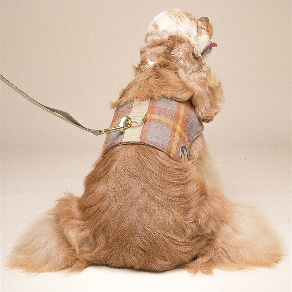 Dog Harness