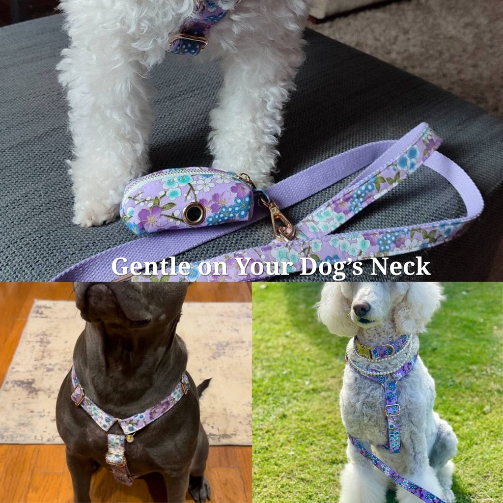 Lilac Meadow Floral Harness Set