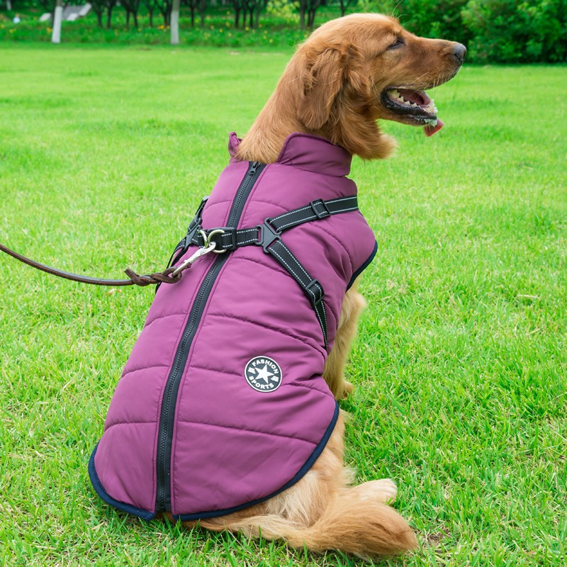 Winter Warm Dog Hooded Coat