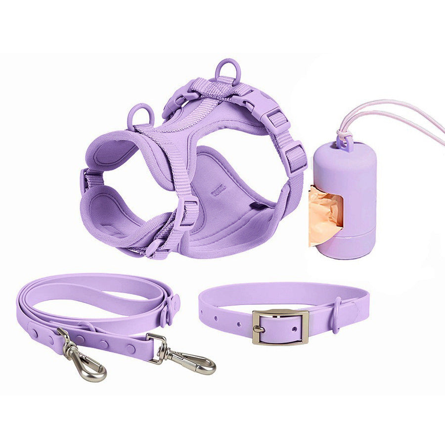 Pet Collar & Traction Rope