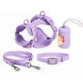 Pet Collar & Traction Rope