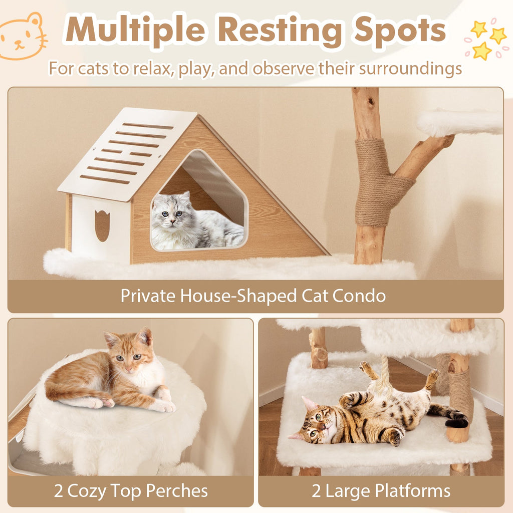 60 Inch Tall Solid Wood Cat Tree