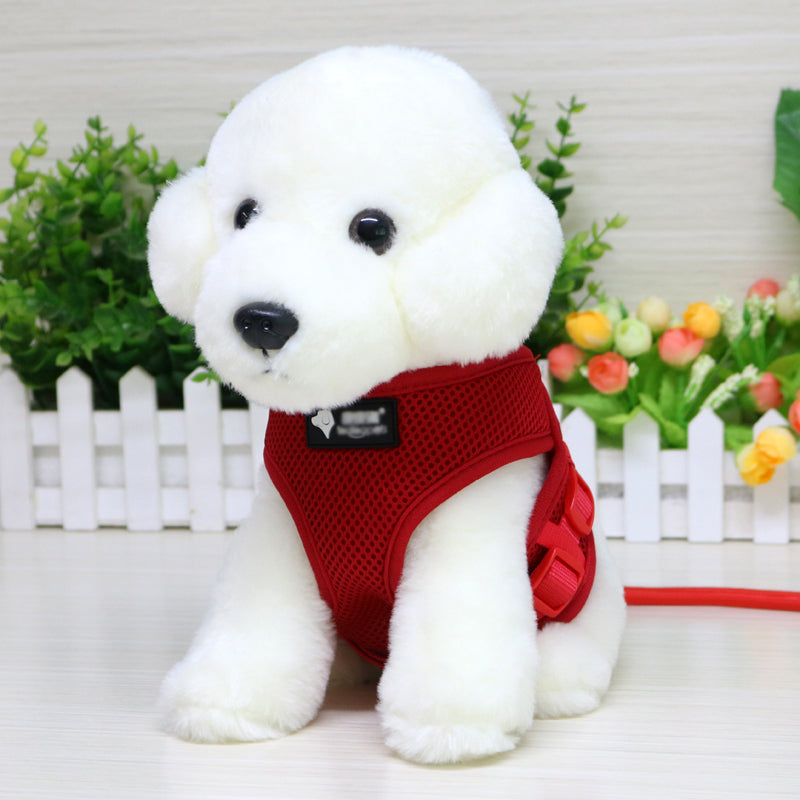 Harness & Leash Set