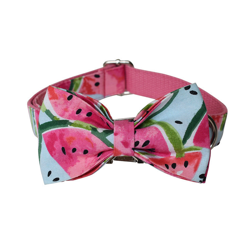 Pet Collar & Leash Set
