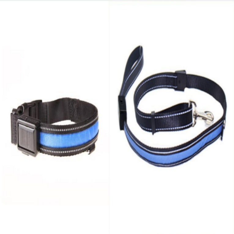 Fluorescent Dog Safety Collar
