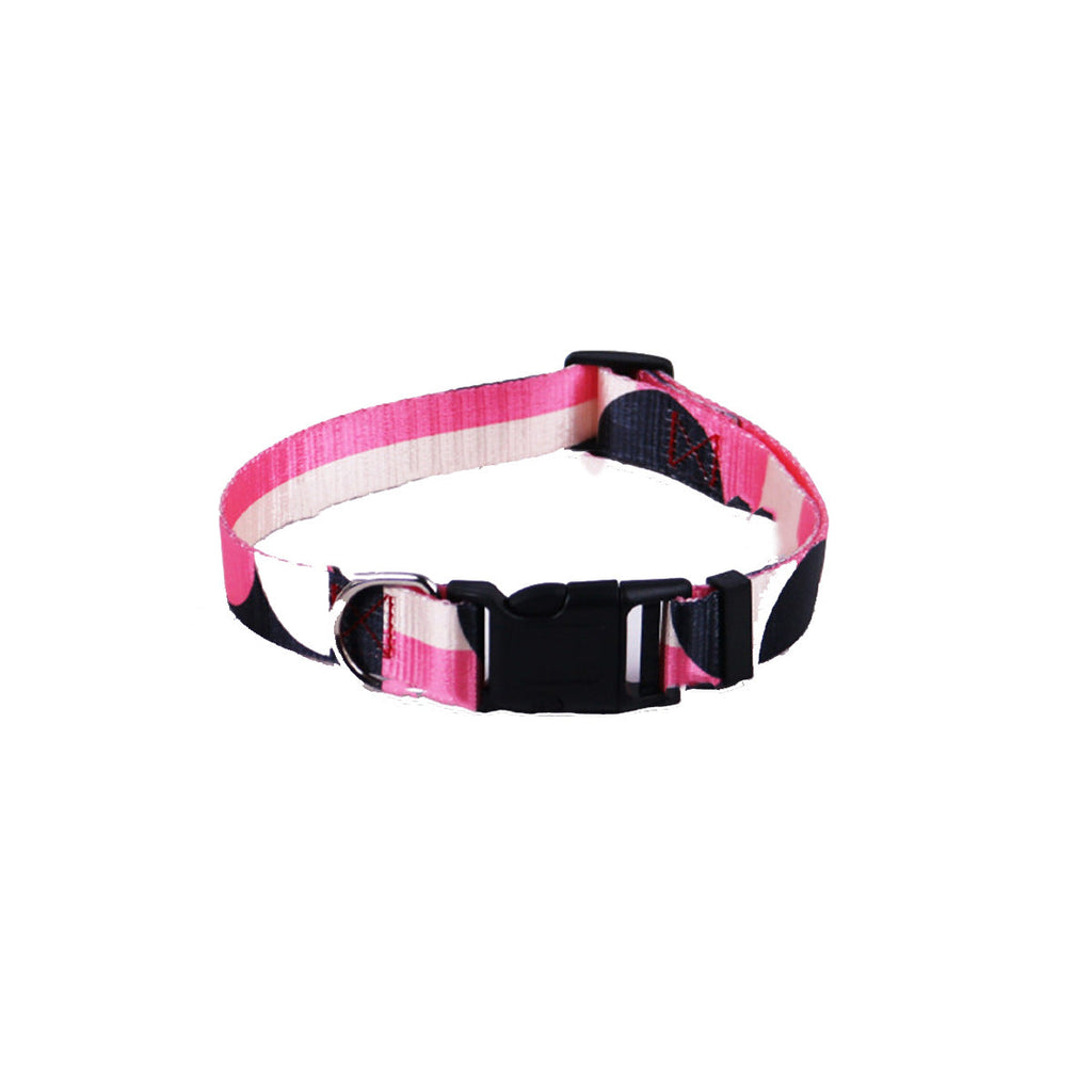 Hand Holding Rope, Leash, Collar Three-piece Set
