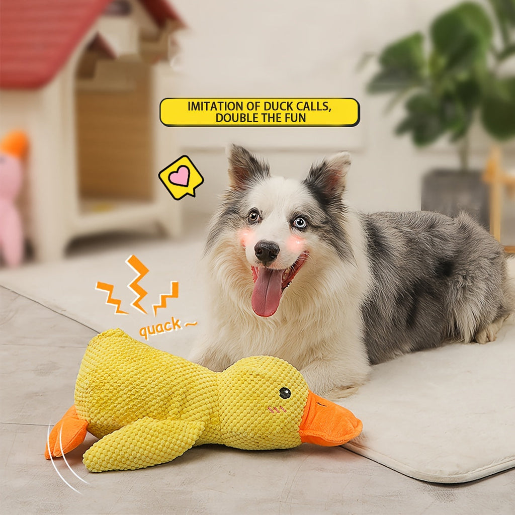 Best Pet Dog Toys For Small Medium And Large Breeds