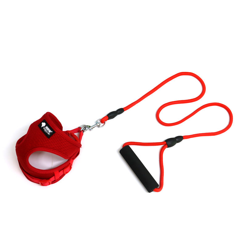 Harness & Leash Set