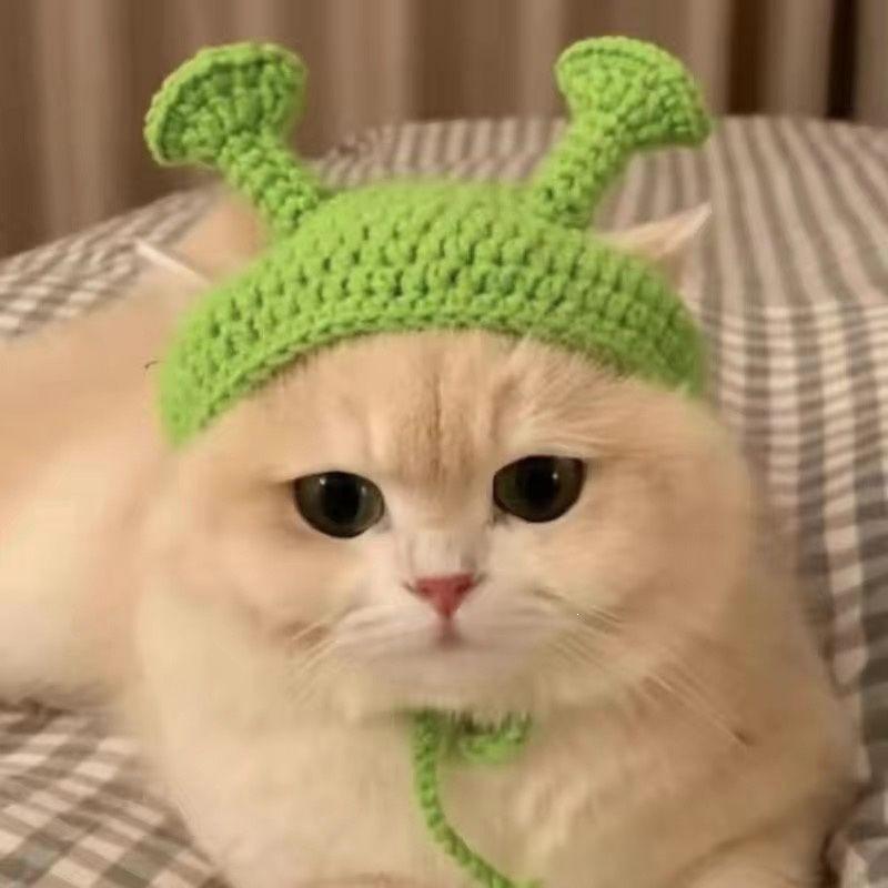 Pet Hat Cute 3D Knitted Wool Bonnet