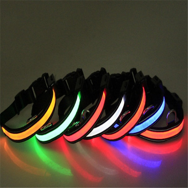 Fluorescent Dog Safety Collar