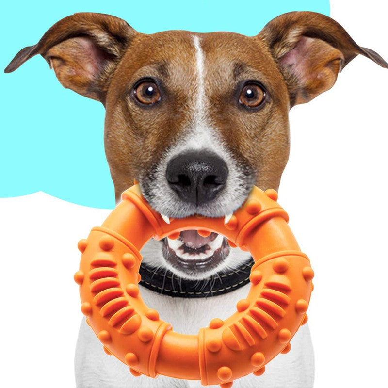 Dog Fetching Stick Bouncy Hollow Interactive Toy