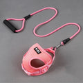 Harness & Leash Set