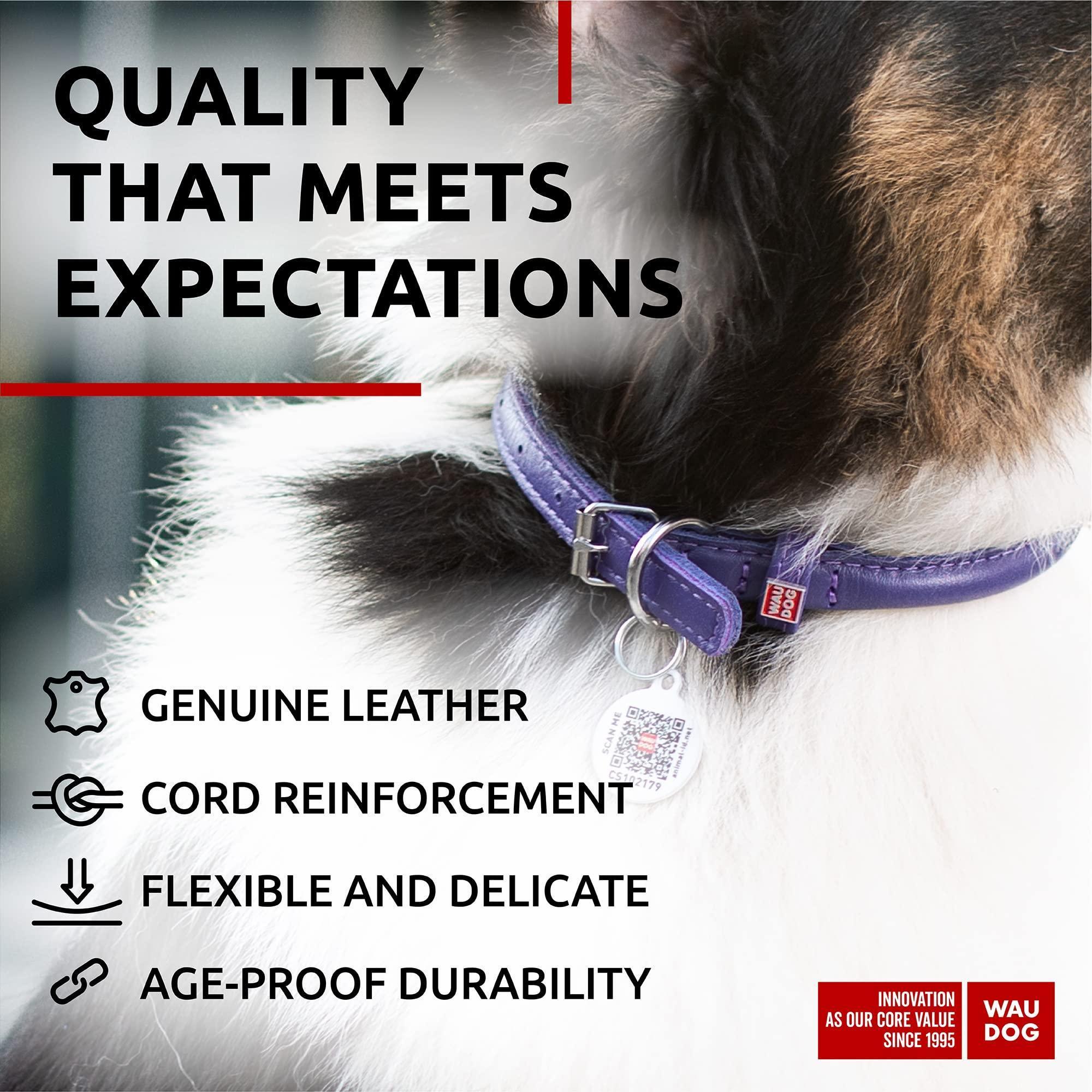Purple Ultra Soft Rolled Leather Dog Collar 21-24 inch