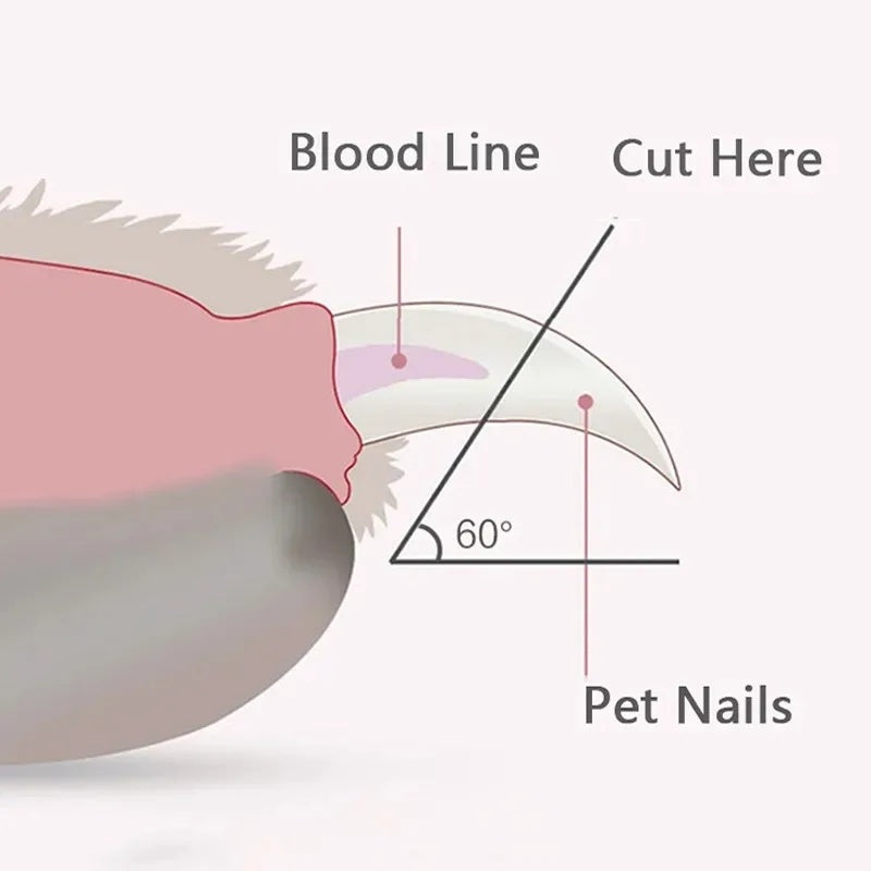 Donuts Lovely Nail Clippers LED Light Illuminates Blood Line Safe Nail Clippers