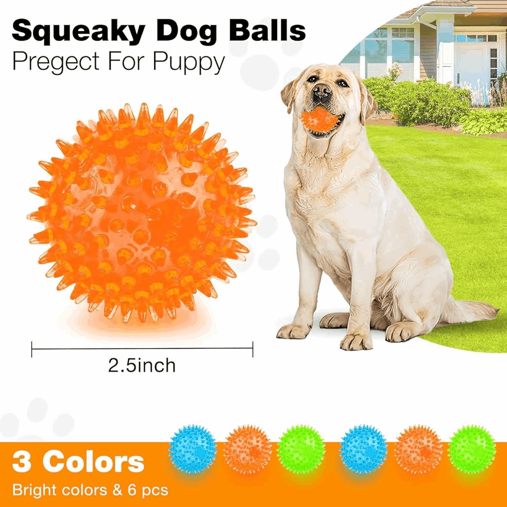 2.5” Squeaky Interactive Dog Balls for Puppy Teething