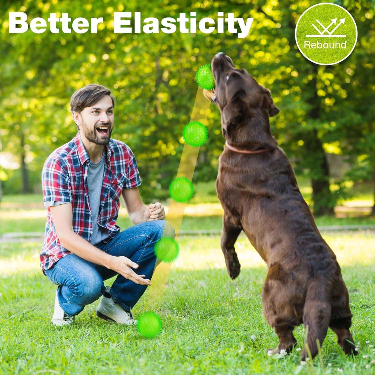 2.5” Squeaky Interactive Dog Balls for Puppy Teething